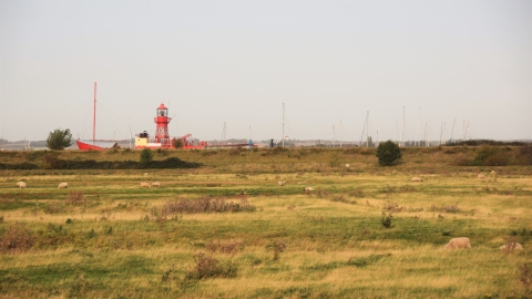 Tollesbury Wick with lightship