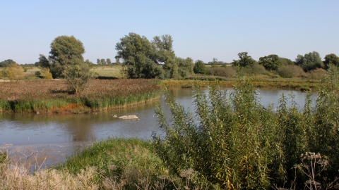 Ingrebourne Valley