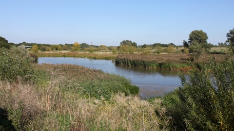 Ingrebourne Valley