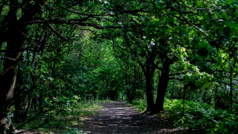 Peter Bowden Tiptree Heath