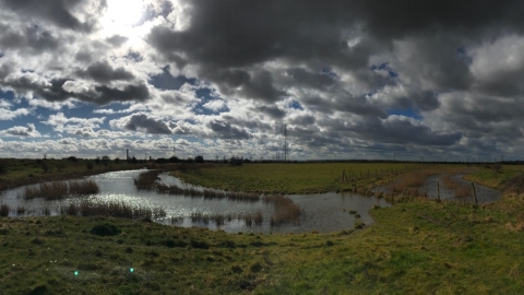 Fobbing Marsh Nature Reserve | Essex Wildlife Trust