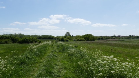 Woodham Fen Seawall