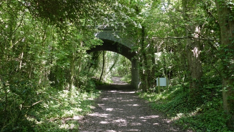 Stow Maries Halt Railway Bridge