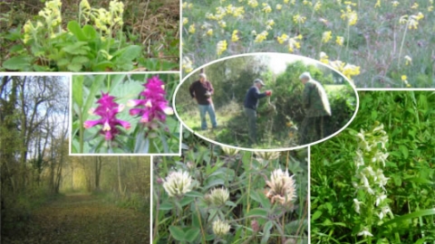 Uttlesford Local Group