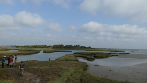 View to Skippers Island