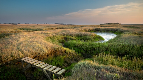 Ray Island