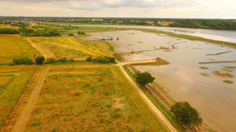 Conservation in our Landscape
