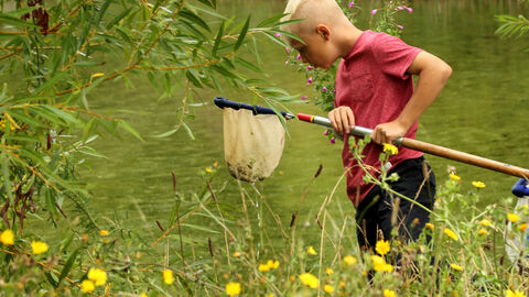 pond dipping