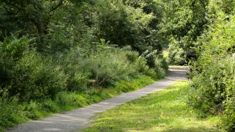 Langdon nature reserve