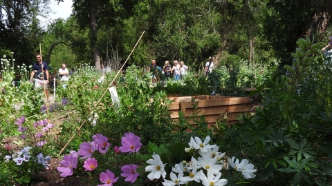 Essex Wildlife Trust Community Sensory Garden at Langdon Nature Reserve