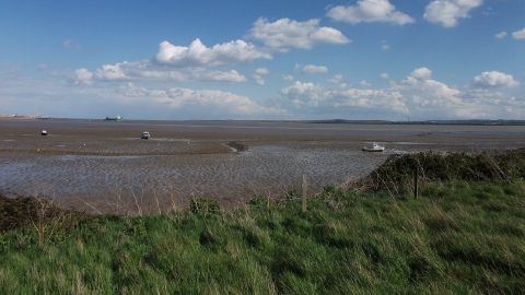 Thurrock Thameside Nature Park