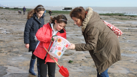 The Naze fossil hunting