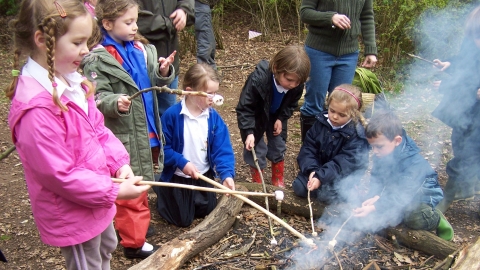 Fingringhoe Forest Schools