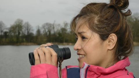 Bird watching
