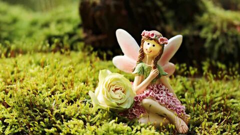Fairy