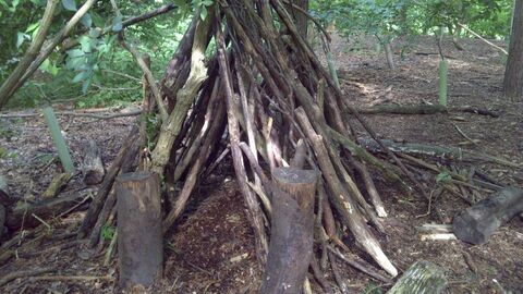 Hanningfield Forest Fun