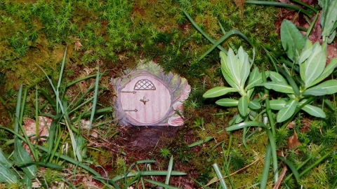 Fairy door