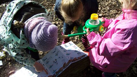 Children using equipment to search for bugs