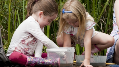 Children Pond Dipping