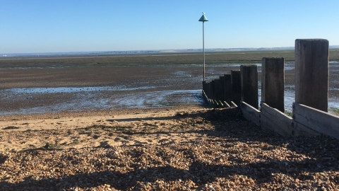 Chalkwell Beach