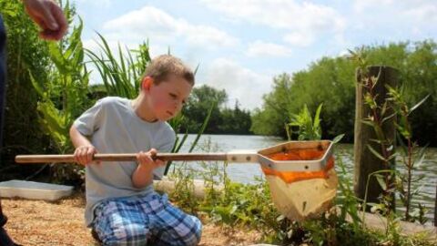 Child with pond net