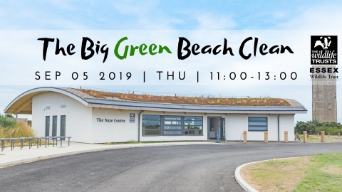 The Big Green Beach Clean September