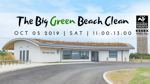The Big Green Beach Clean October