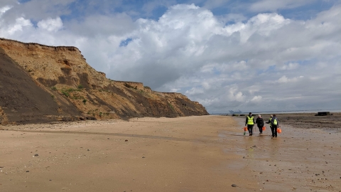 Naze beach clean