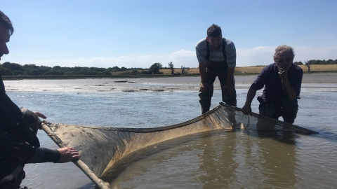 Thames Estuary fish identification and survey workshop