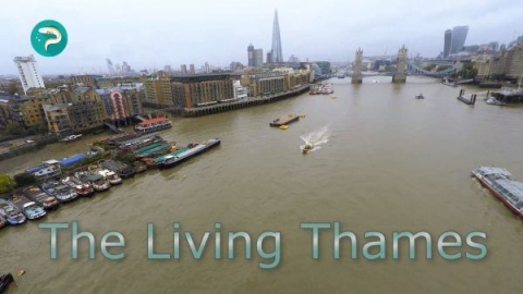 Boats on the Thames