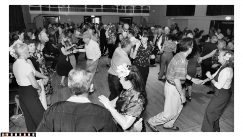 Badger Boogie Witham