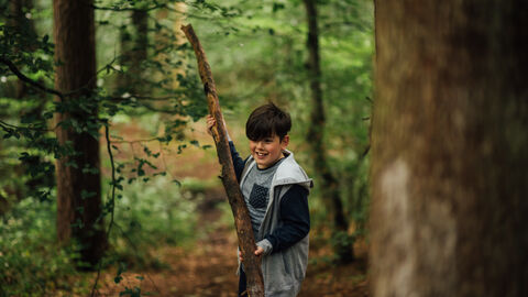 Den Building