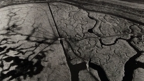 Aerial Photo of Essex Salt marsh by Rachel Spender