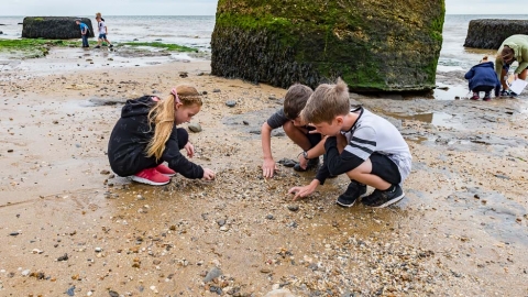 Naze family seashore search