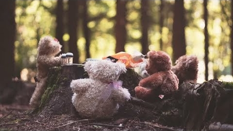 Teddy bears picnic