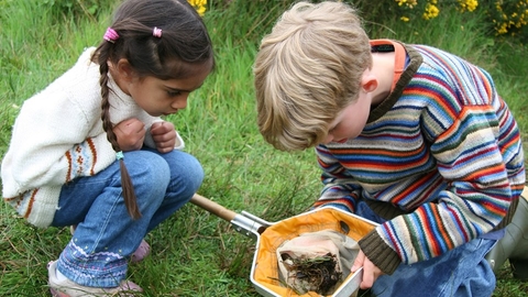 Looking for bugs in a net