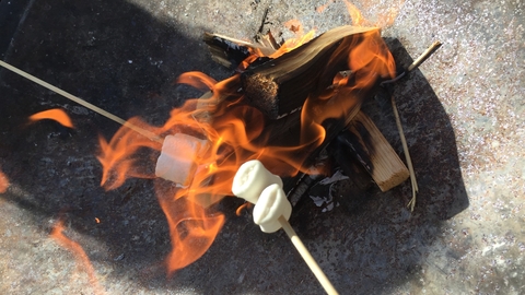 Small fire and toasting marshmallows