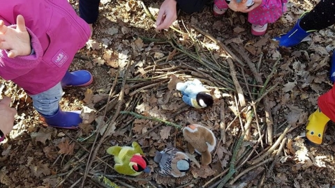 Bedfords Forest Schools