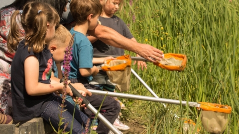 Pond Dipping at Wildfest