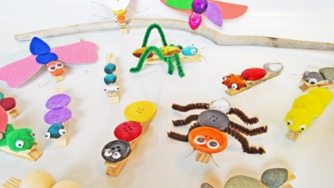 Bug craft