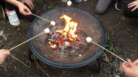 Fire and marshmallows