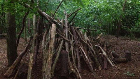 Den Building