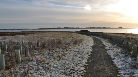 Winter at Abberton 