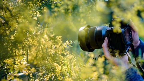 Photography competition