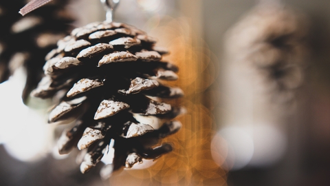 Pine cones decorations