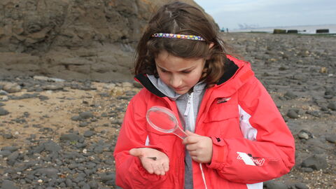 Fossil hunting