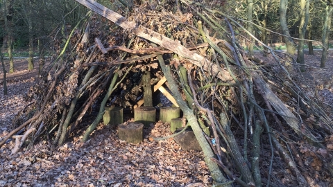 den in woodland