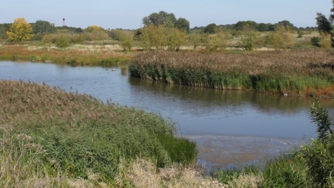 Ingrebourne