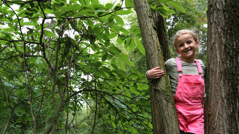 Belfairs Forest School