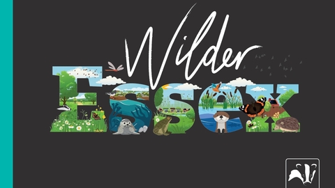 Wilder Essex
